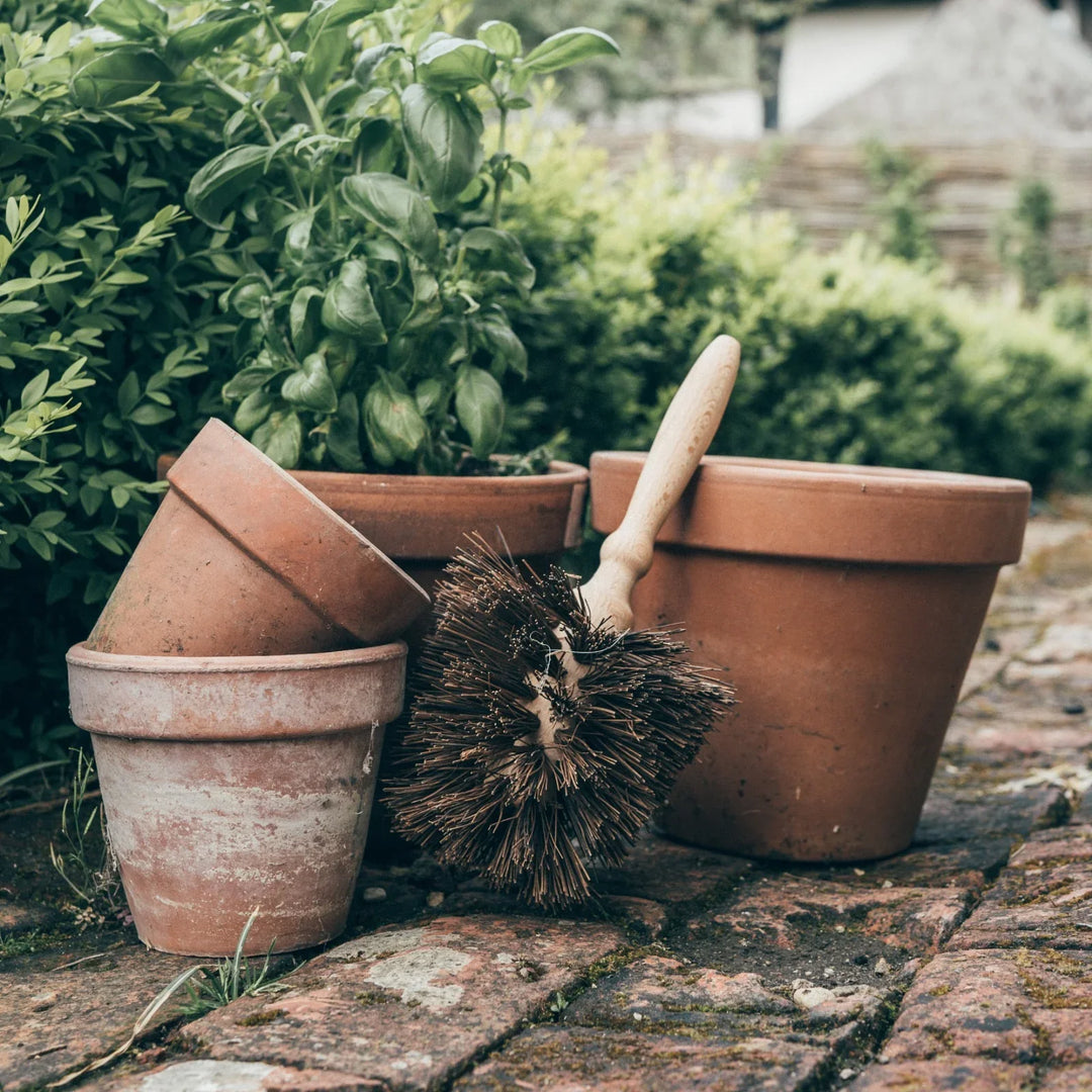 How to Care for Terracotta Pots: Cleaning, Sealing & Preventing Cracks